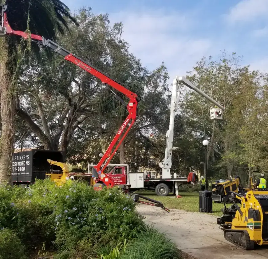 Tree service equipment
