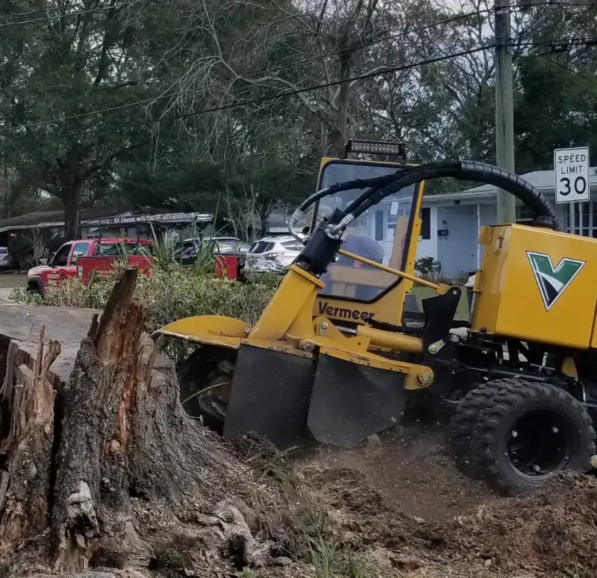 Residential tree care